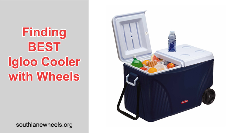 Finding BEST Igloo Cooler With Wheels (With Top 5 Choices)